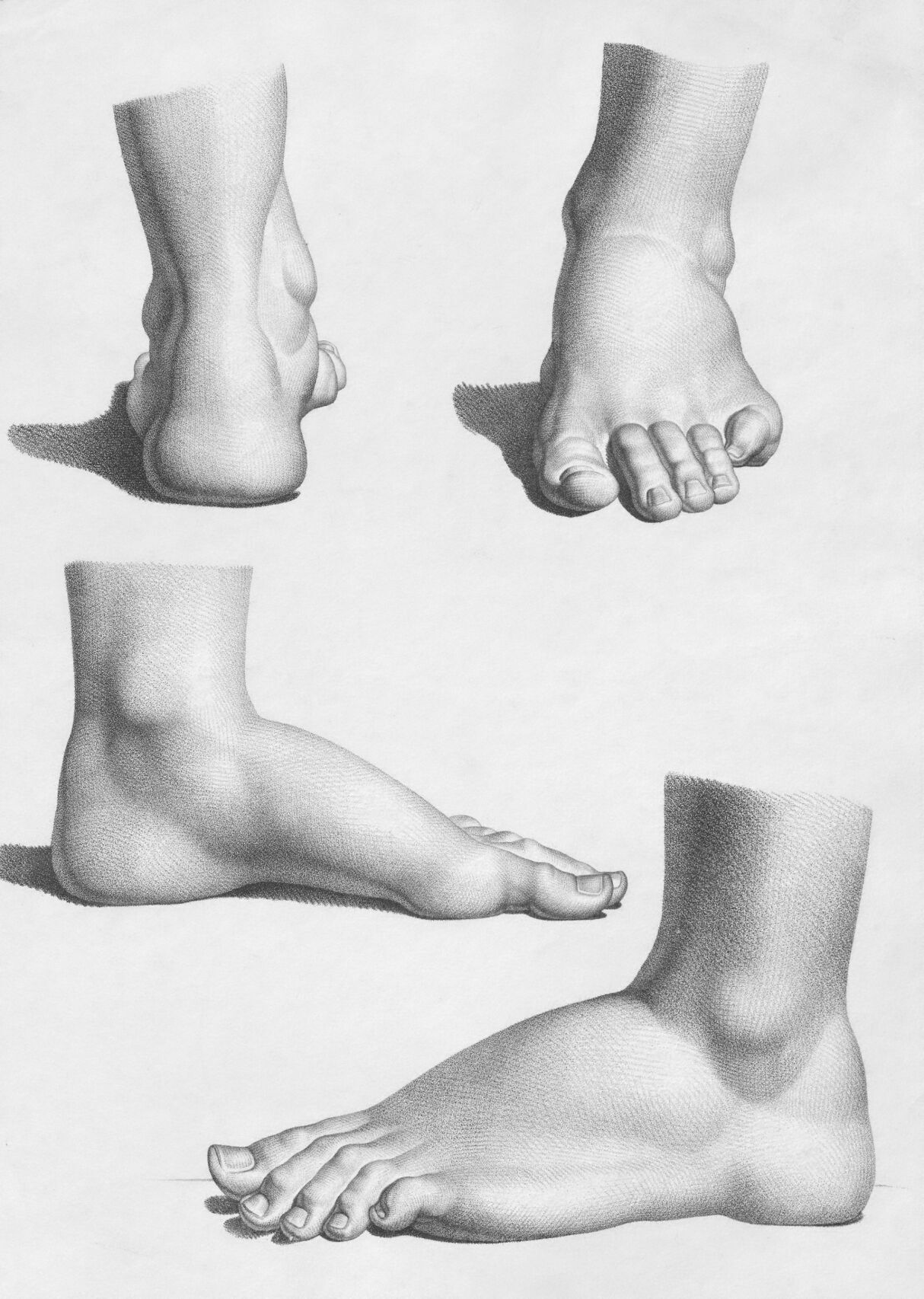 europeana-9qEoYjH1Og8-unsplash (1)